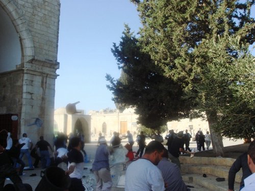 ishtebakat322 (42).jpg - 48.69 kB 